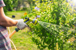 arrosage jardin récupérateur d'eau de pluie